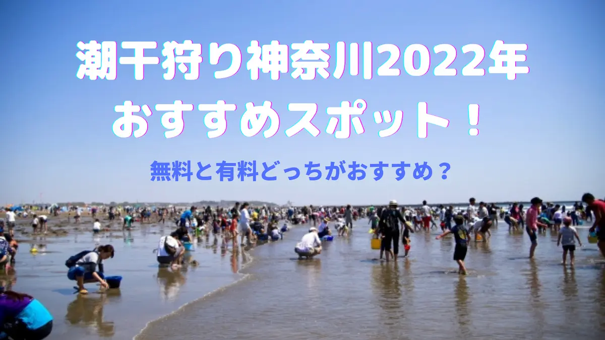 潮干狩り神奈川2022おすすめスポット