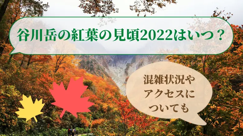 谷川岳の紅葉の見頃2022アイキャッチ画像