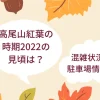 高尾山紅葉時期2022アイキャッチ画像