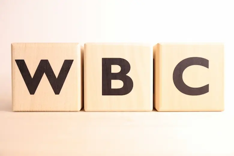 WBCの文字の積み木